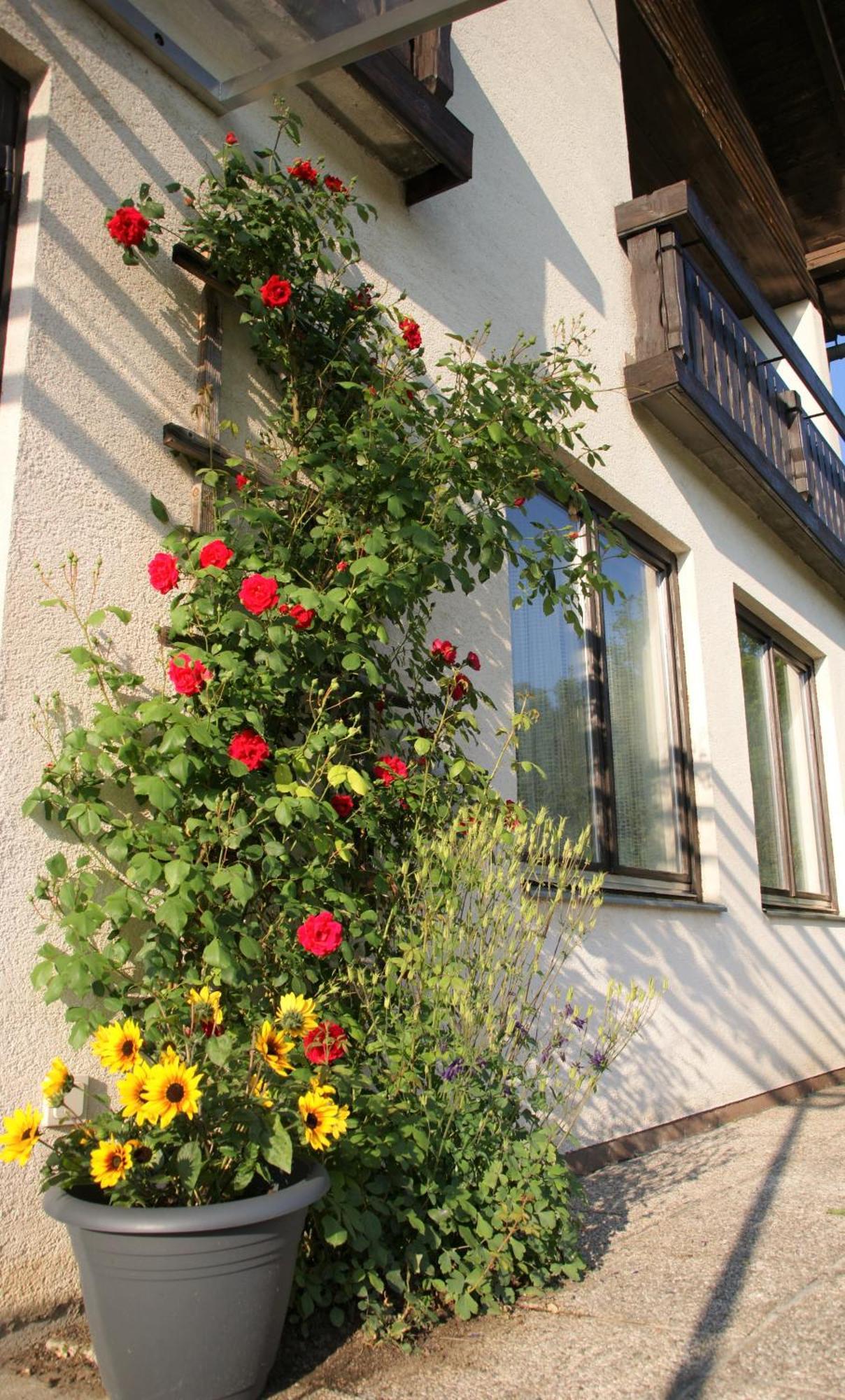 Die Sonnenblume Sankt Kanzian am Klopeiner See Eksteriør billede